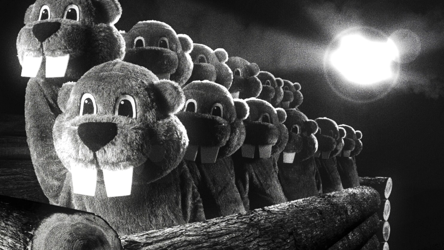 Amazon.co.jp: The Documentary of SUPER BEAVER 『東京